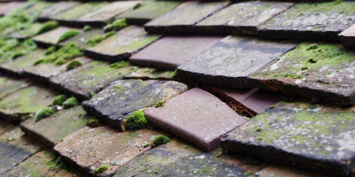 Victoria roof repair costs